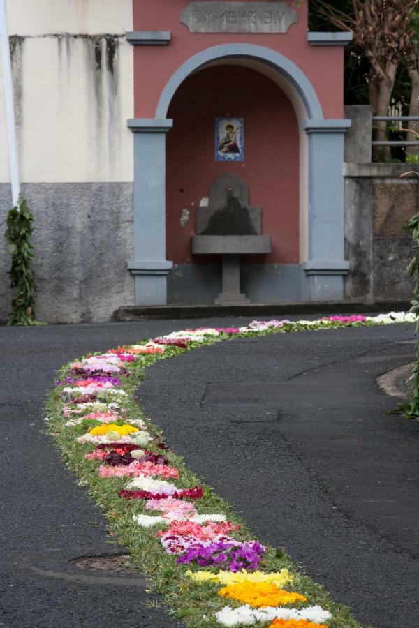 Antonella Home Funchal Luaran gambar